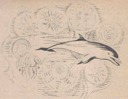 Приключения Гука - Any2FbImgLoader47