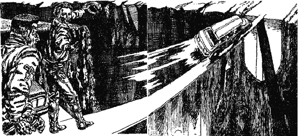 В дебрях Даль-Гея - i_004.png