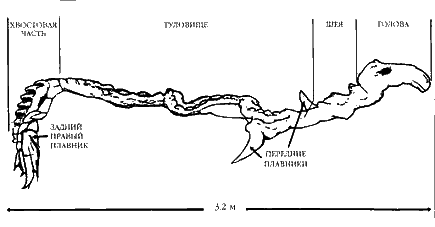 Запретная археология - image12.png