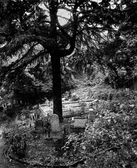 Кладбищенские истории - i_030.jpg