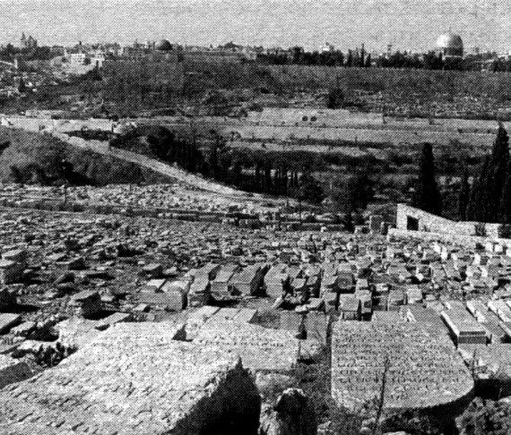 Кладбищенские истории - i_051.jpg