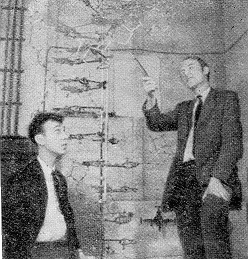 Двойная спираль - _144.png