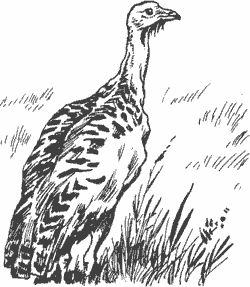 Горизонты без конца - i_009.png