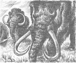 Вдоль Большой реки - i_014.jpg