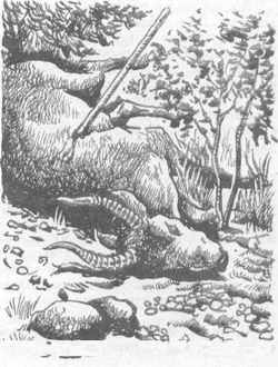 Вдоль Большой реки - i_033.jpg