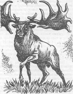 Вдоль Большой реки - i_040.jpg