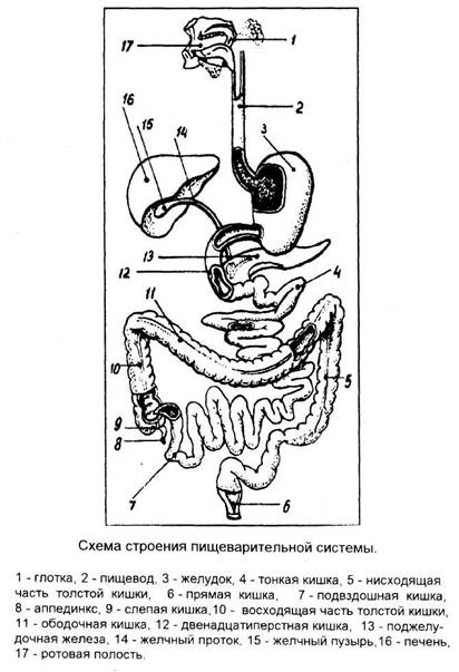 Способ жизни в Эру Водолея - image2.jpg