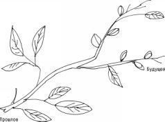 Уверенность - pic_27.jpg