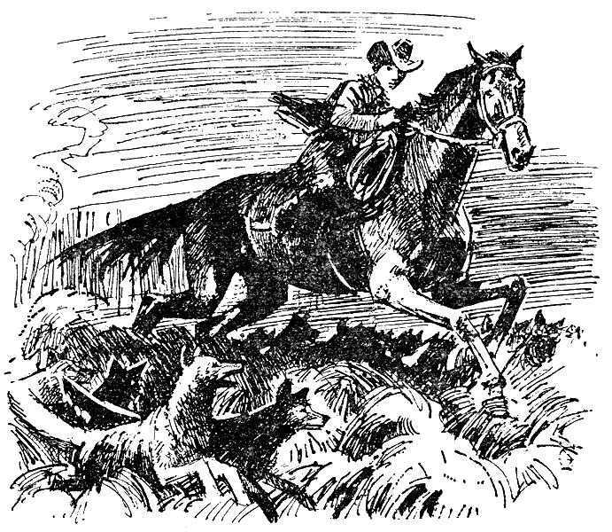 Дети капитана Гранта - g13.png