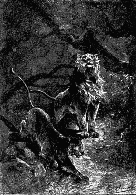 Кловис Дардантор - i_043.png