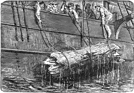 Путешествие и приключения капитана Гаттераса - i_032.png