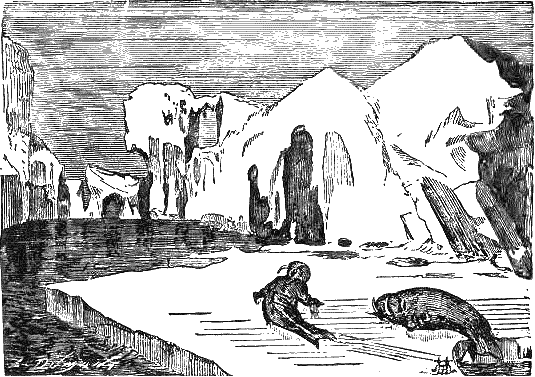 Путешествие и приключения капитана Гаттераса - i_045.png