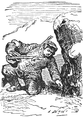 Путешествие и приключения капитана Гаттераса - i_083.png