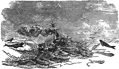 Путешествие и приключения капитана Гаттераса - i_090.png