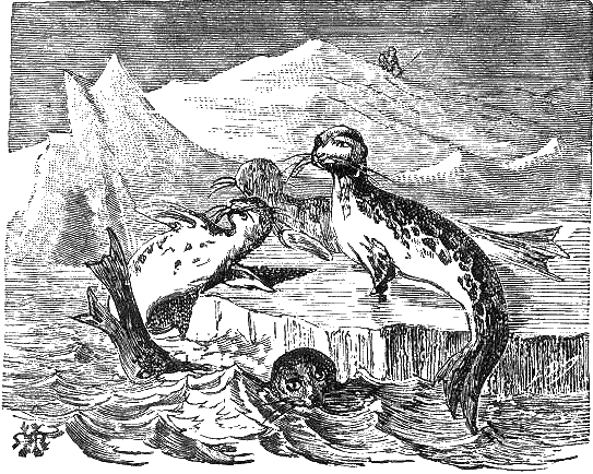 Путешествие и приключения капитана Гаттераса - i_091.png