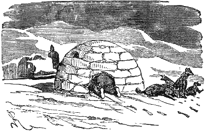 Путешествие и приключения капитана Гаттераса - i_113.png