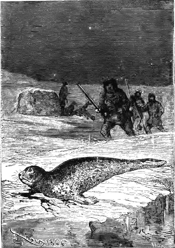 Путешествие и приключения капитана Гаттераса - i_139.png