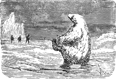 Путешествие и приключения капитана Гаттераса - i_144.png