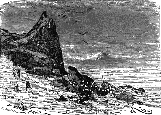 Путешествие и приключения капитана Гаттераса - i_157.png