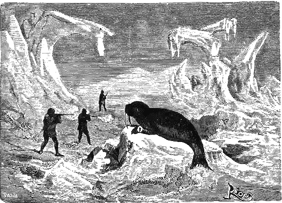 Путешествие и приключения капитана Гаттераса - i_159.png