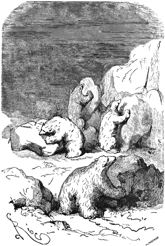 Путешествие и приключения капитана Гаттераса - i_178.png