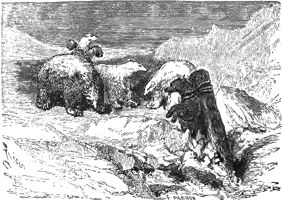 Путешествие и приключения капитана Гаттераса - i_185.png