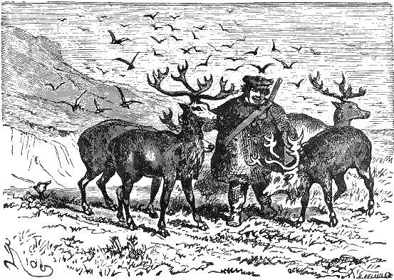 Путешествие и приключения капитана Гаттераса - i_202.png