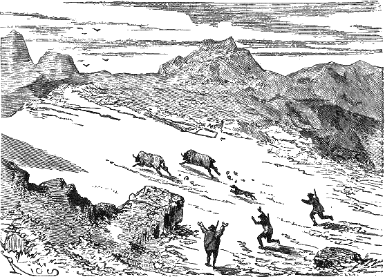 Путешествие и приключения капитана Гаттераса - i_203.png