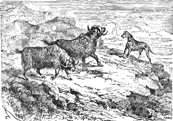 Путешествие и приключения капитана Гаттераса - i_204.png