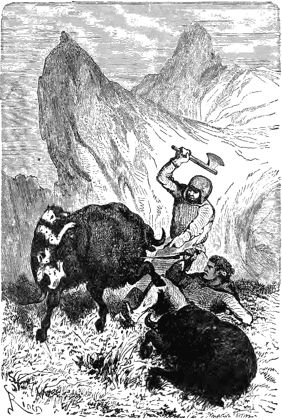 Путешествие и приключения капитана Гаттераса - i_205.png