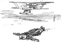 Полярный летчик - pic_33.jpg