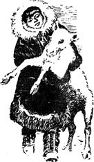 Полярный летчик - pic_50.jpg