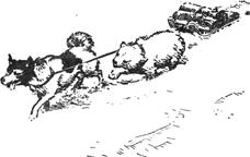 Полярный летчик - pic_54.jpg