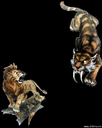 Волшебник Изумрудного города (с иллюстрациями) - q24.jpg