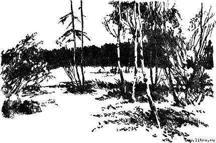 Старшая сестра - i_003.jpg