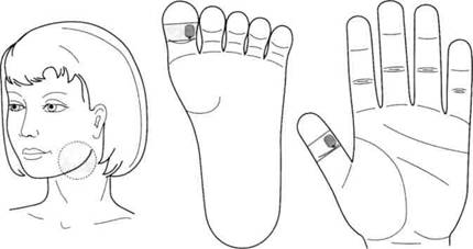 Су Джок семянотерапия - any2fbimgloader109.jpeg