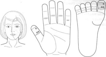 Су Джок семянотерапия - any2fbimgloader111.jpeg