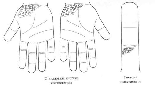 Су Джок семянотерапия - any2fbimgloader50.jpeg