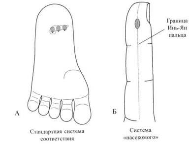 Су Джок семянотерапия - any2fbimgloader51.jpeg
