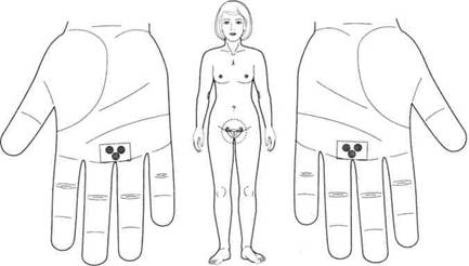 Су Джок семянотерапия - any2fbimgloader130.jpeg