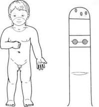 Су Джок семянотерапия - any2fbimgloader132.jpeg