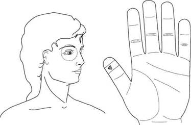 Су Джок семянотерапия - any2fbimgloader140.jpeg