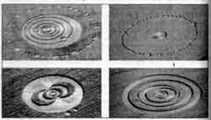 Пришельцы? Они уже здесь!!! - any2fbimgloader10.jpeg