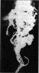 Пришельцы? Они уже здесь!!! - any2fbimgloader9.jpeg