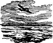 Руал Амундсен - image148.png