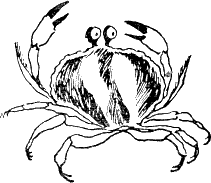 Муми-тролль и комета - i_007.png