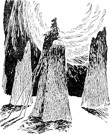 Муми-тролль и комета - i_057.png