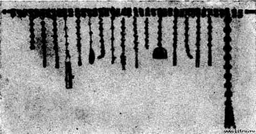 Атлантида - _1972.jpg