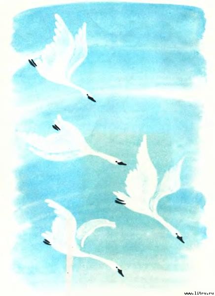 Гуси-лебеди - i_002.jpg