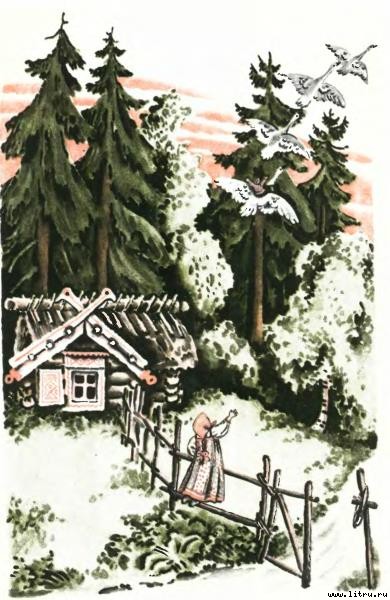 Гуси-лебеди - i_004.jpg